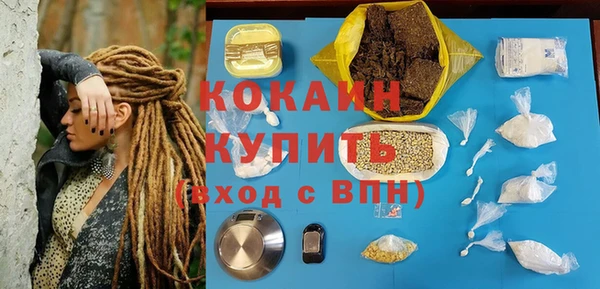 индика Алзамай