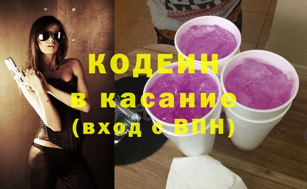 индика Алзамай