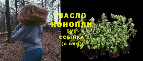 дмт Алексин