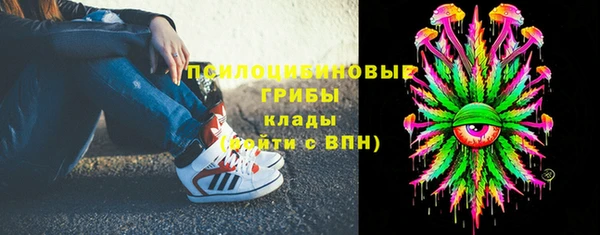 дмт Алексин