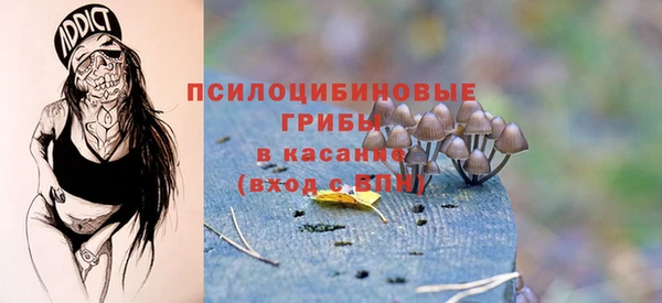 индика Алзамай
