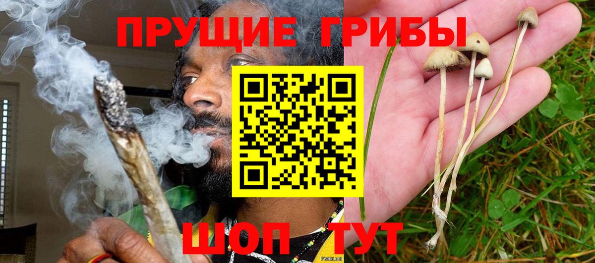 Псилоцибиновые грибы Cubensis  Псилоцибиновые грибы Psilocybine cubensis  Вход с VPN  Лобня 